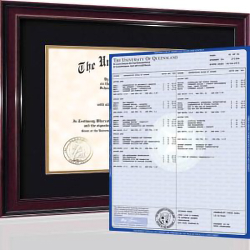 NOVELTY FAKE ASSOCIATES DEGREE PLUS FULL SET OF TRANSCRIPTS (STANDARD TEMPLATE DESIGN)