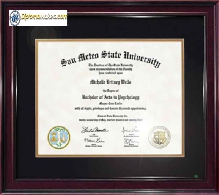 San Meten State University Buy Fake Degree Certificate