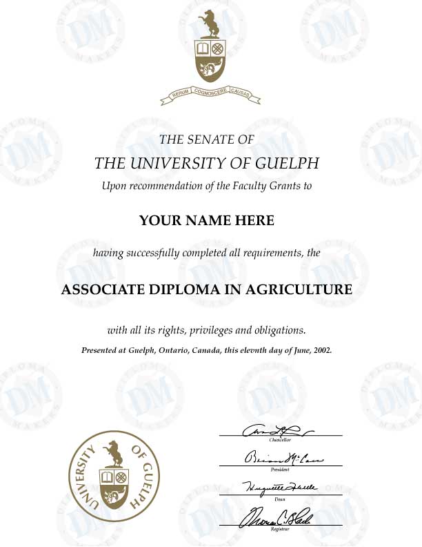 Canada fake diploma sample The University of Guelph
