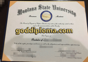 Fake degree